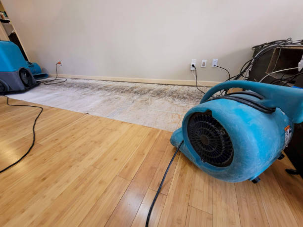 Professional Flood Damage Cleanup technician working in Plover, WI